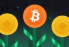 How to Invest in Bitcoin: A Comprehensive Guide for Beginners